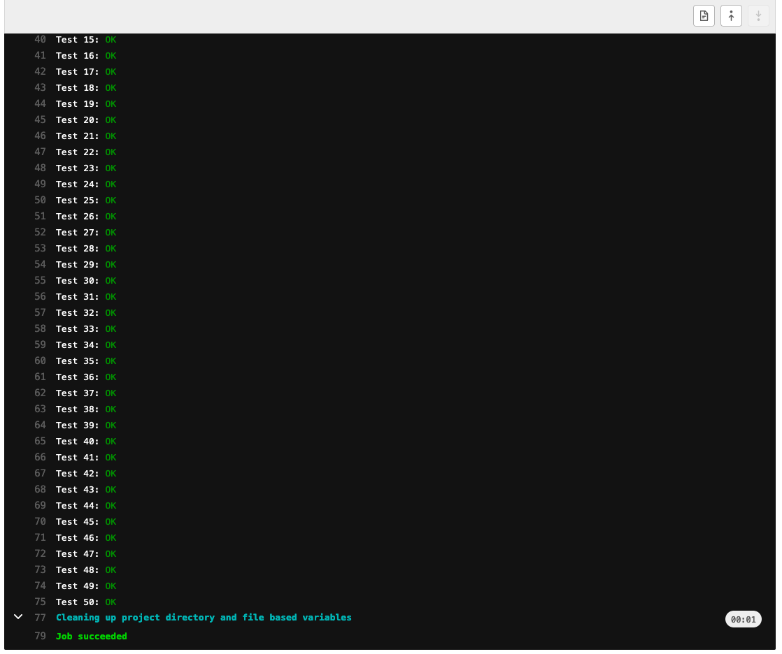 GitLab Screenshot: GitLab Testing Job output